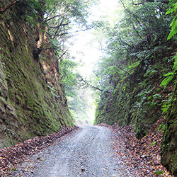 吉崎道