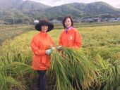 剣岳の秋 収穫の喜び