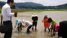 まずは手植えで田植え