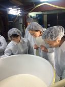 添え仕込み 醪が・・