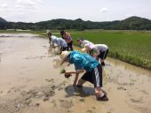 ぬかるみに苦戦・・。
