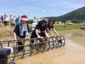 六角はむずかしい・・