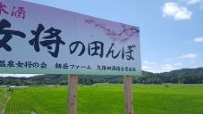女将の田んぼ看板
