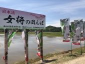 女将の田んぼ 看板 のぼり