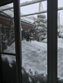 白和荘のチャマくんと大雪