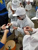 酒米は蒸され、つやつやに乾燥