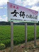 生育も見守ります