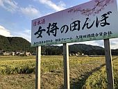 まわりの圃場はすべて済んで、女将の田んぼだけ・・