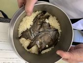 マハタ料理